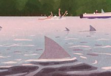 Sharks In Indiana?