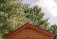 Oinking Acres Thrives With A Purrpose