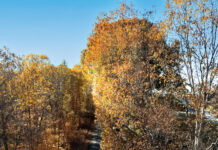 Indiana Fall Drives: South
