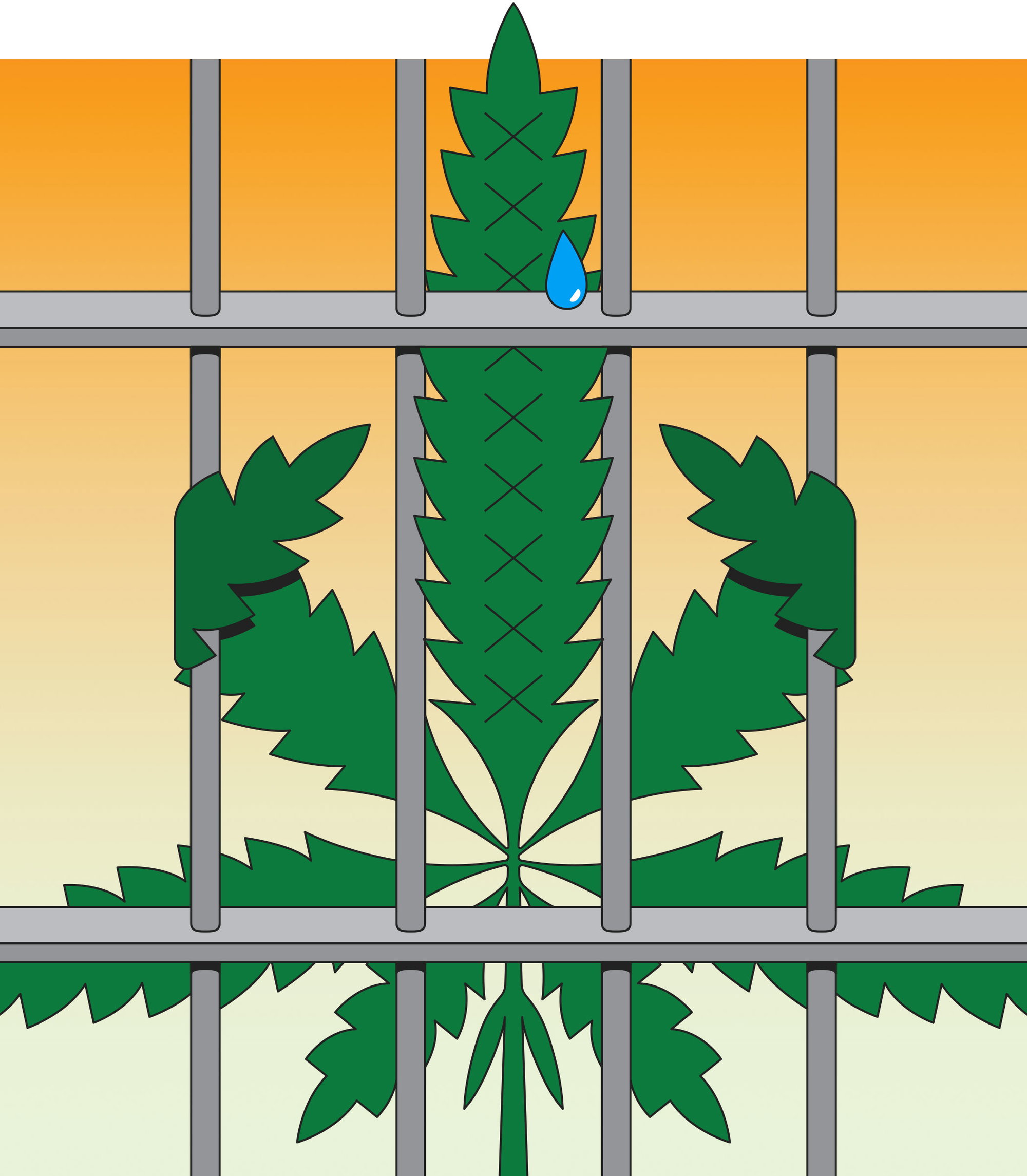 indianapolismonthly.com - Sam Stall - Indiana's Long, Strange Trip With Marijuana